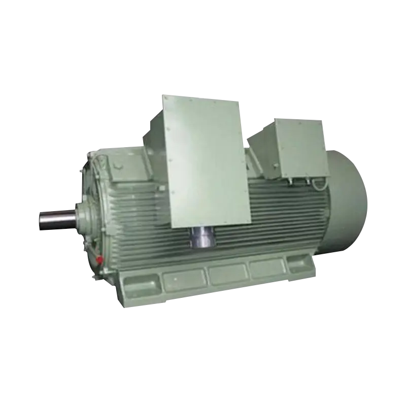 Y2 Series High-Voltage Three Phase Induction Motor (H:355-630mm)