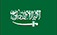 https://sa.dahua44.com
